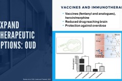 Interventions to Address Opioid Addiction