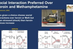 Interventions to Address Opioid Addiction