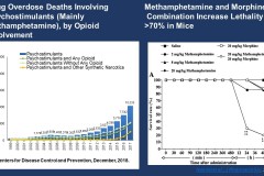 Interventions to Address Opioid Addiction
