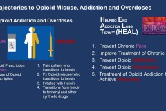 Interventions to Address Opioid Addiction
