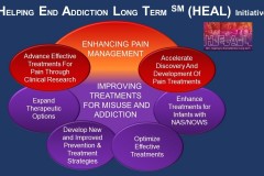 Interventions to Address Opioid Addiction