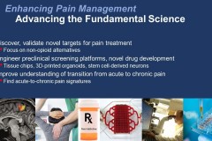 Interventions to Address Opioid Addiction