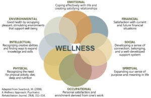 Mapping Mental Health: Dr Swarbrick & The Eight Wellness Dimensions