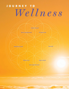 Journey to Wellness Cover
